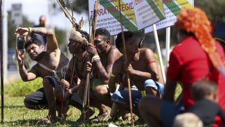 Relatório mostra impactos ambientais causados por empresa em Itaituba