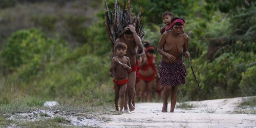 Governo envia comitiva à Roraima após ataque em terra yanomami 