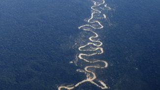 Garimpeiros reagem à ação da PRF e morrem na Terra Indígena Yanomami
