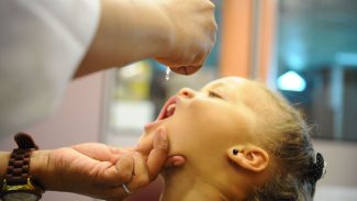 Pesquisadores apontam alto risco de volta da poliomielite no Brasil