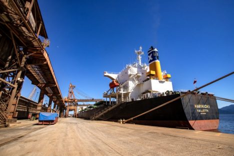 Exportações do Corredor Leste do Porto de Paranaguá aumentam 7,9% no quadrimestre