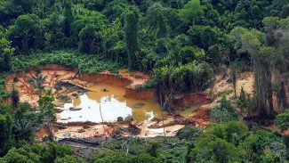 Mulher é encontrada morta em Terra Indígena Yanomami