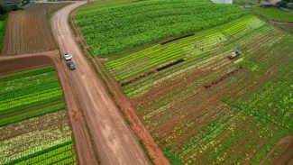 Com aporte de R$ 30 milhões, Estado incrementa agricultura e turismo em São José dos Pinhais