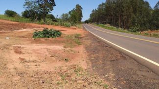 Reforma de acostamentos de rodovia entre Umuarama e Xambrê é contratada