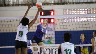 Com novas leis, Paraná ganha força para apoiar talentos e expandir programas do esporte