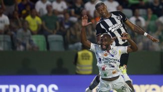 Goiás bate líder Botafogo e deixa zona do rebaixamento do Brasileiro