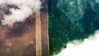 Marina Silva alerta para destruição irreversível da Amazônia
