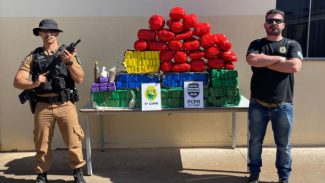 Polícias Militar e Civil apreendem mais de 200 quilos de drogas em Cianorte