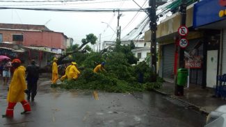 Chuva forte coloca Recife em alerta máximo e suspende aulas