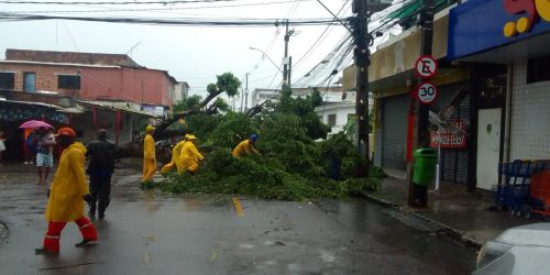 Imagem referente a Chuva forte coloca Recife em alerta máximo e suspende aulas
