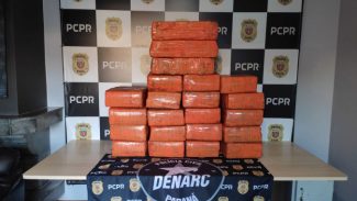PCPR apreende 434 quilos de maconha e prende mulher por tráfico de drogas, em Toledo