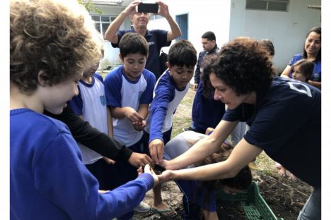 Imagem referente a Portos do Paraná instala novas composteiras em escolas da Ilha do Mel