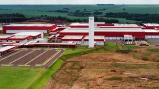 Com novo status, Paraná atraiu R$ 9 bilhões de investimento no setor de proteínas animais