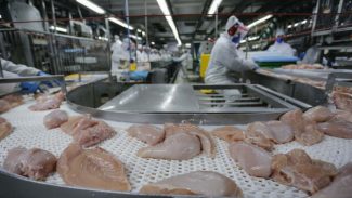 Paraná atinge 2 milhões de toneladas de proteínas exportadas pela primeira vez na história