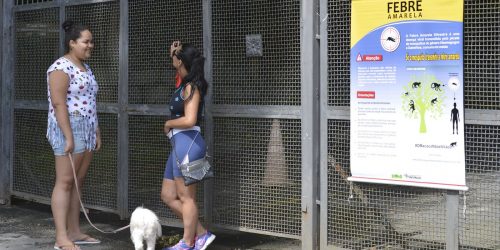 SP volta a registrar mortes por febre amarela após dois anos sem casos