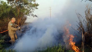 Estado lança nesta semana campanha de prevenção e combate a incêndios florestais