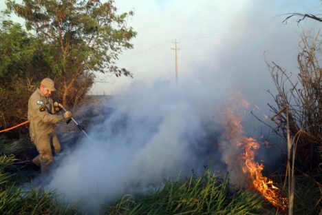 Estado lança nesta semana campanha de prevenção e combate a incêndios florestais