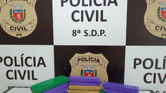 PCPR apreende 550 quilos de maconha e recupera veículo em Santa Cruz do Monte Castelo