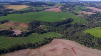 IAT aplica mais de R$ 3 milhões em multas por desmatamento ilegal na região Sudoeste