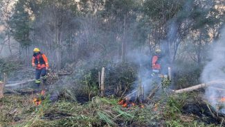 Com apoio do Simepar, Corpo de Bombeiros lança operação contra incêndios florestais no Paraná