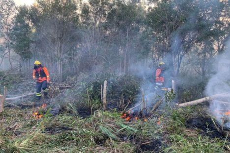 Imagem referente a Com apoio do Simepar, Corpo de Bombeiros lança operação contra incêndios florestais no Paraná