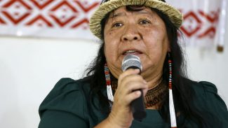 Caso Bruno e Dom revelou fragilidade da proteção aos indígenas