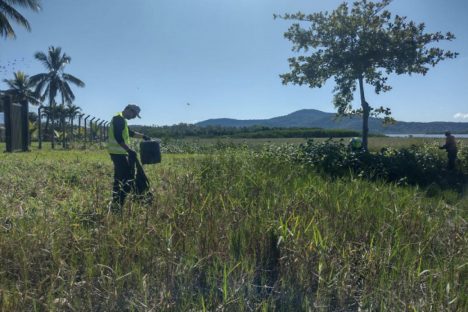 Meio Ambiente: alunos da rede estadual de Antonina ajudam a limpar manguezais