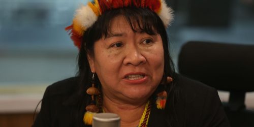 Demarcação de territórios é prioridade da Funai, diz Joenia Wapichana Demarcação de territórios é prioridade da Funai, diz Joenia Wapichana