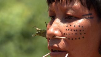 Observatório identifica 42 políticos com fazendas em terras indígenas