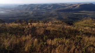 Preservação do Cerrado no DF é tema do Caminhos da Reportagem
