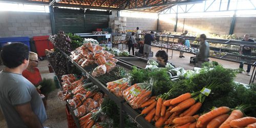 Imagem referente a Preços da cenoura e do mamão caem nos principais mercados atacadistas