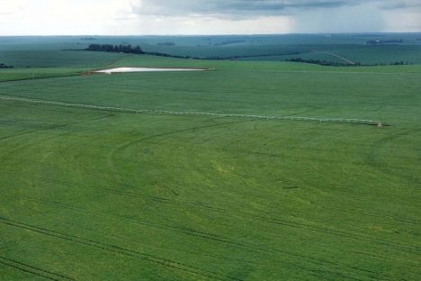 IDR-Paraná alerta produtores de milho e cereais de inverno sobre atividades do El Niño IDR-Paraná alerta produtores de milho e cereais de inverno sobre atividades do El Niño
