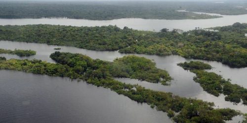 Narcotráfico potencializa destruição ambiental e violação de direitos Narcotráfico potencializa destruição ambiental e violação de direitos