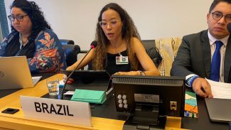 Brasil participa da 138ª Sessão do Comitê de Direitos Humanos da ONU
