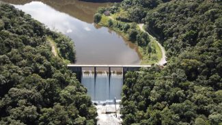 Copel adere a compromisso empresarial para a biodiversidade