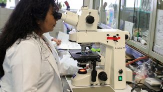 Prêmio chama atenção para desafios enfrentados por mulheres cientistas