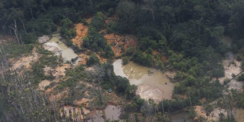 Imagem referente a Garimpo ilegal devasta área de 118 hectares em Rondônia e no Amazonas