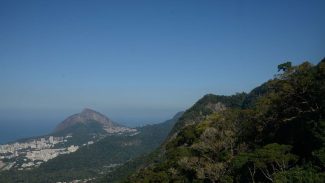 Parque Nacional da Tijuca completa 62 anos
