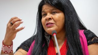 Ministra diz que ainda há garimpeiros ilegais em TI Yanomami