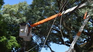 Copel recupera energia em 97% dos domicílios e reforça equipe na Grande Curitiba e Litoral