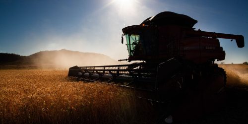 Imagem referente a Governo faz ajustes em programas de concessão de crédito rural