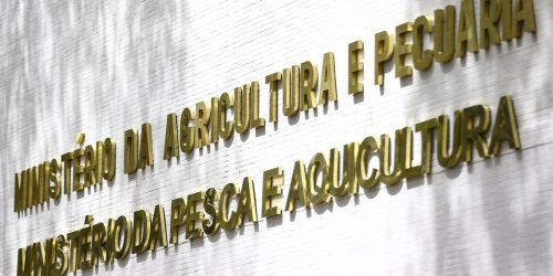 Imagem referente a Gripe aviária leva o Paraná a decretar emergência zoossanitária