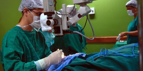Imagem referente a Hospital público de Rondônia fará transplante de tecido ósseo