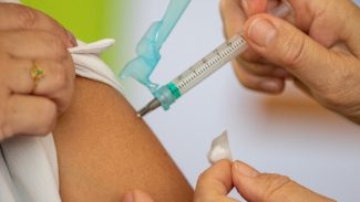 Brasil atingiu em 2021 menor cobertura vacinal em 20 anos