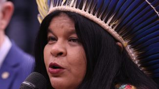 Guajajara: pertencimento foi fator decisivo para aumento de indígenas