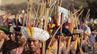 Indígenas: Censo 2022 mostra aprimoramento de dados, diz pesquisador