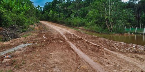 Ambientalistas denunciam desmatamento às margens de rodovia amazônica Ambientalistas denunciam desmatamento às margens de rodovia amazônica
