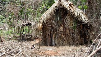 Observatório lança plataforma para proteger indígenas isolados
