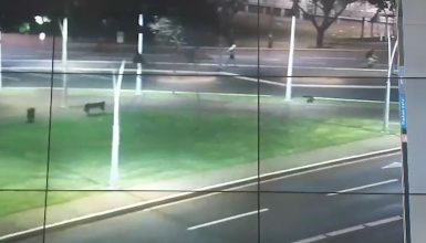 Imagem referente a Vídeo mostra correria na Praça da Bíblia após homem ser morto na Avenida Assunção
