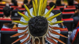 Encontro em Brasília discute reparação de violações a povos indígenas